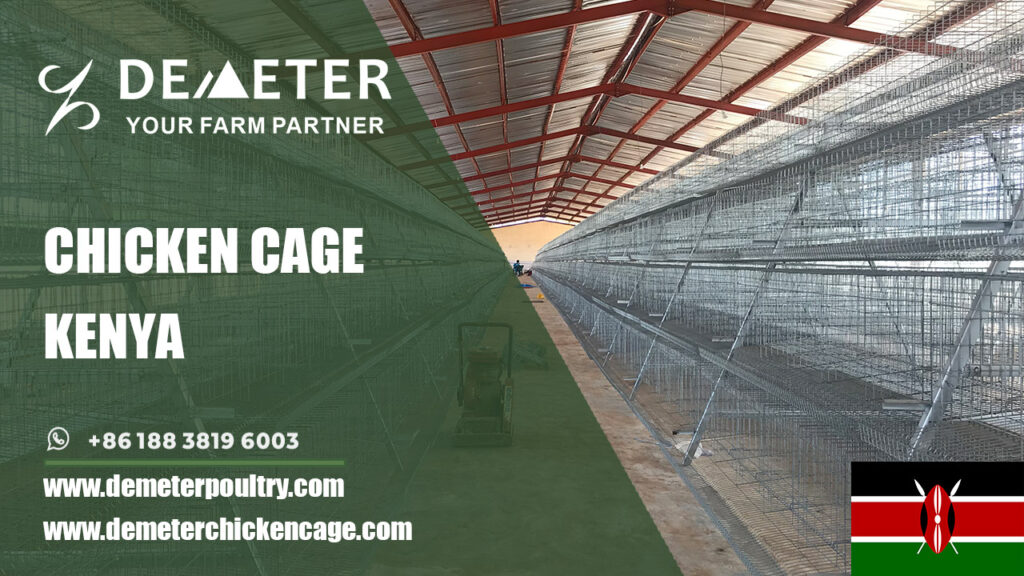 layer chicken battery cages for sale in Nairobi Kenya